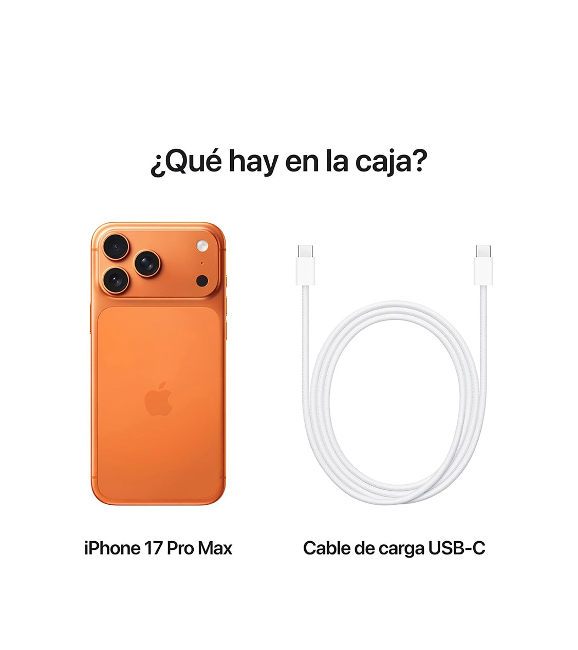 iPhone 17 Pro Max